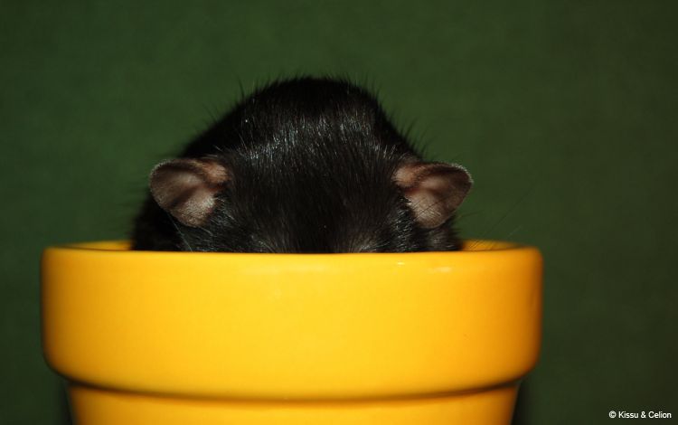 DSC_0017~14.jpg