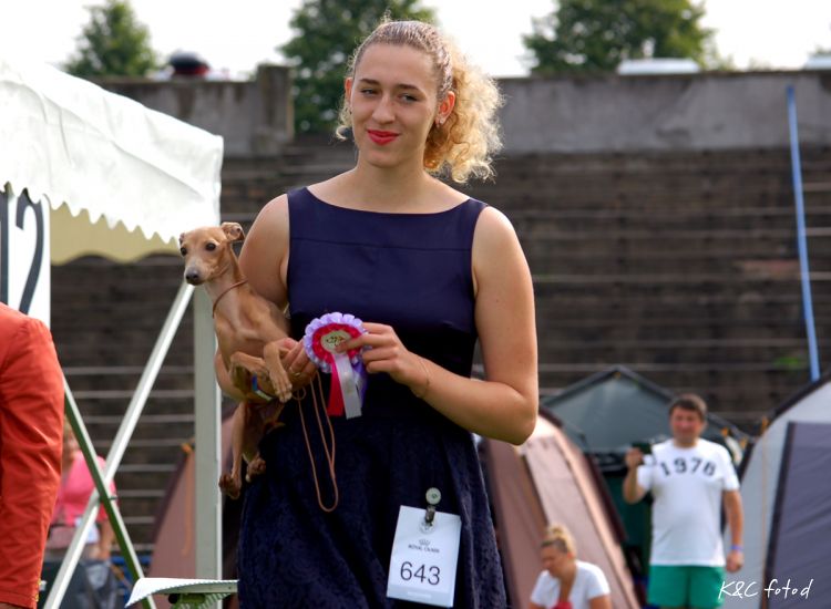 DSC_0017~20.jpg