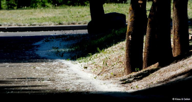 DSC_0018~2.jpg