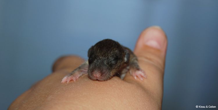 DSC_0019~10.jpg