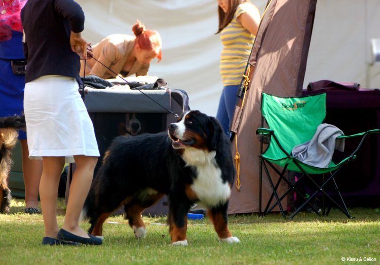 DSC_0019~21.jpg
