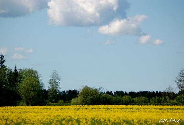DSC_0027~19.jpg