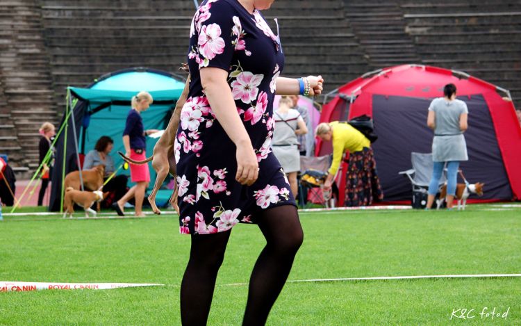 DSC_0031~19.jpg