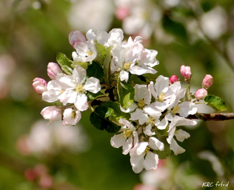 DSC_0034~15.jpg