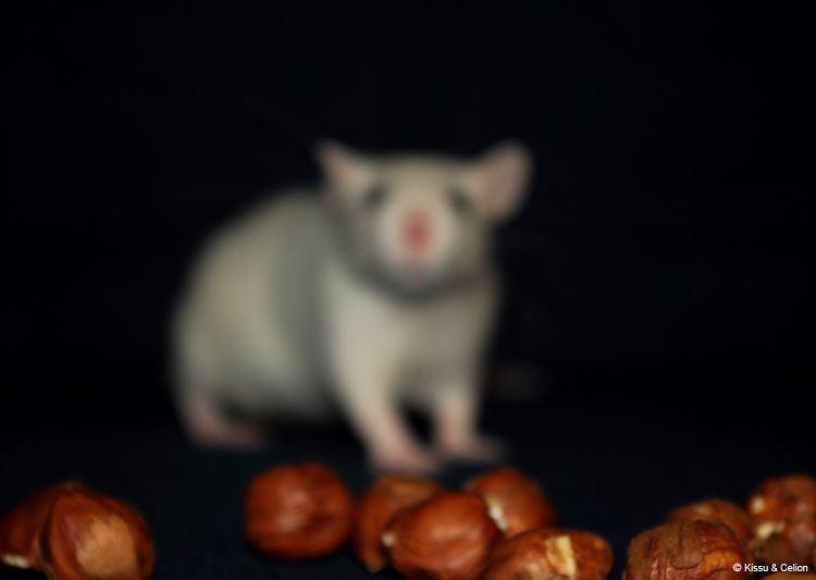 DSC_0044~13.jpg