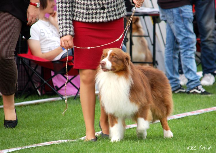 DSC_0044~15.jpg