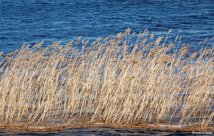 DSC_0044~4.jpg