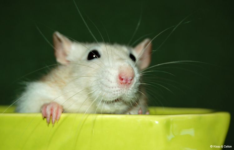 DSC_0049~12.jpg