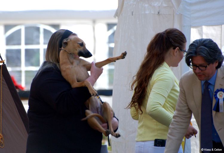 DSC_0051~14.jpg