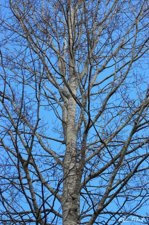 DSC_0052~19.jpg