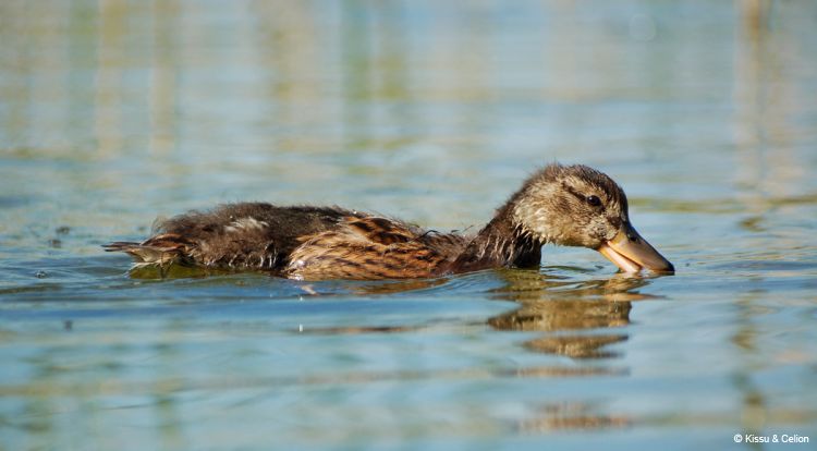 DSC_0079~6.jpg