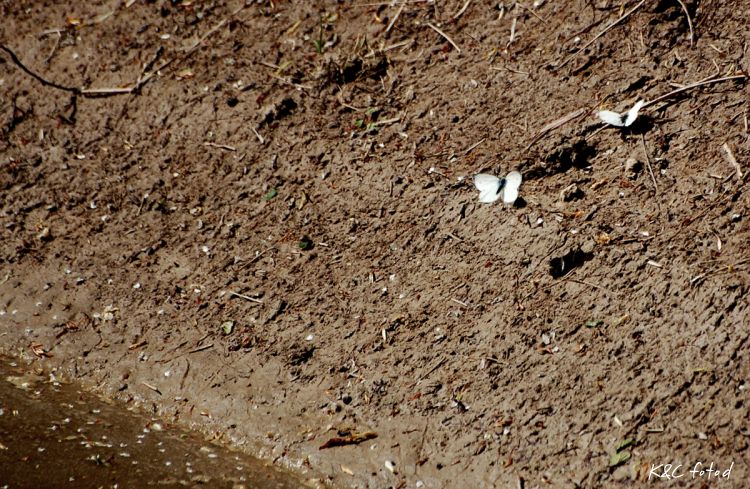 DSC_0080~15.jpg