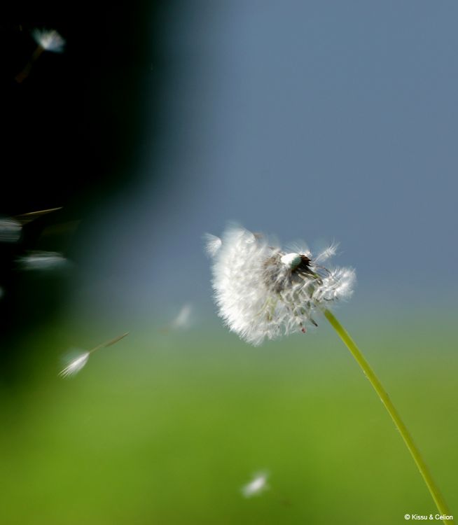 DSC_0086~0.jpg