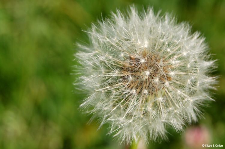 DSC_0094~2.jpg