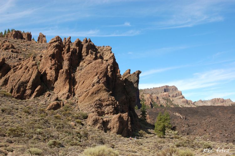 DSC_0102~17.jpg
