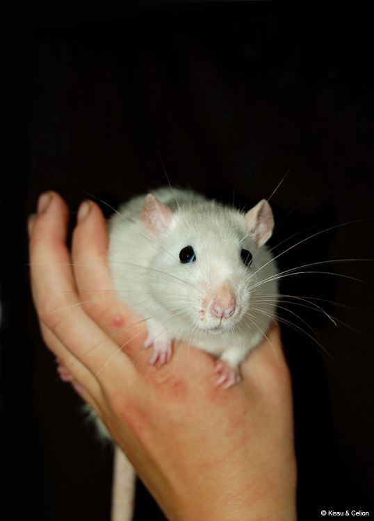 DSC_0104~3.jpg