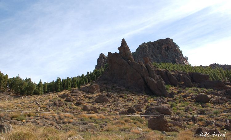 DSC_0109~10.jpg