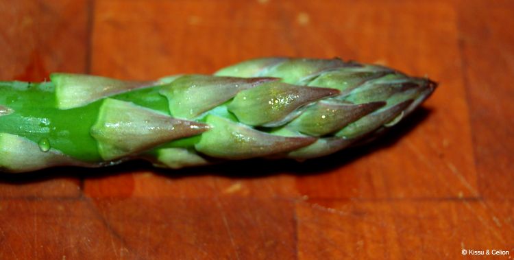 DSC_0110~7.jpg