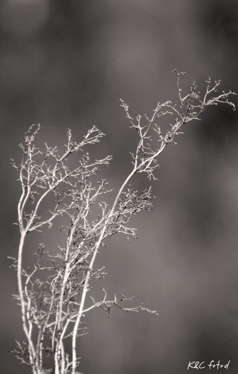 DSC_0125~15.jpg