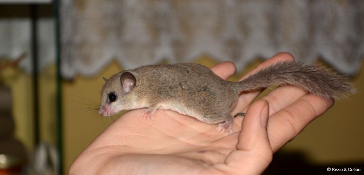 DSC_0126~8.jpg