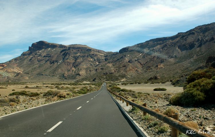 DSC_0132~18.jpg