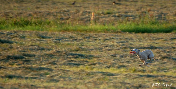 DSC_0148~8.jpg