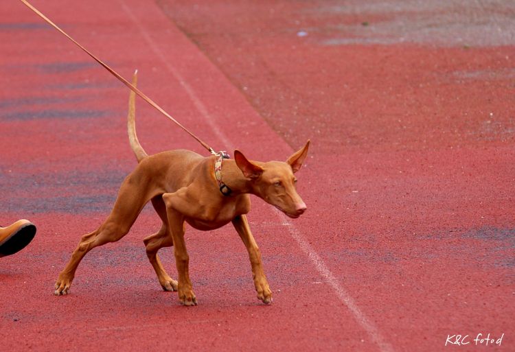 DSC_0158~13.jpg