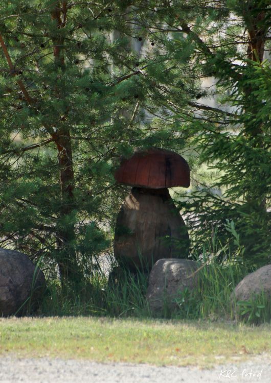 DSC_0164~13.jpg