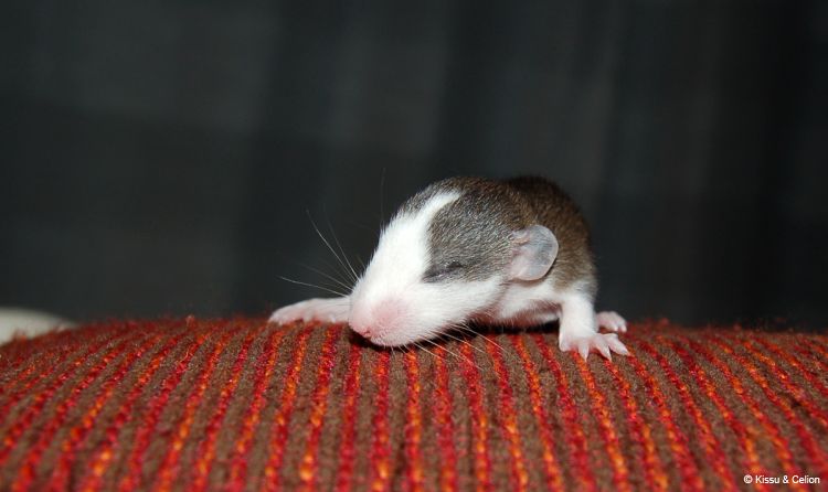 DSC_0165~1.jpg