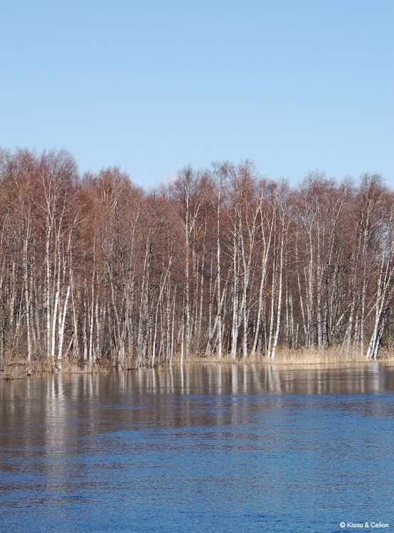 DSC_0170~4.jpg