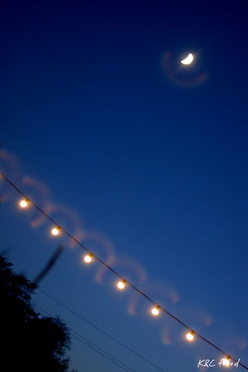 DSC_0174~10.jpg