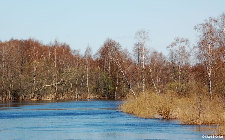 DSC_0176~3.jpg