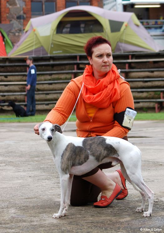 DSC_0178~12.jpg