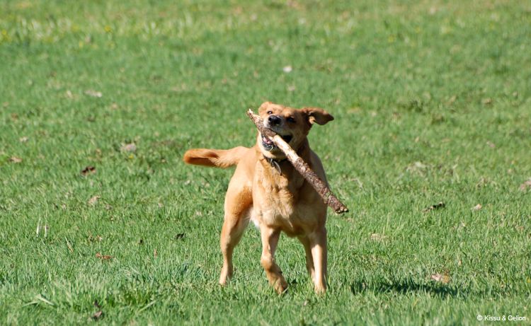 DSC_0181.jpg