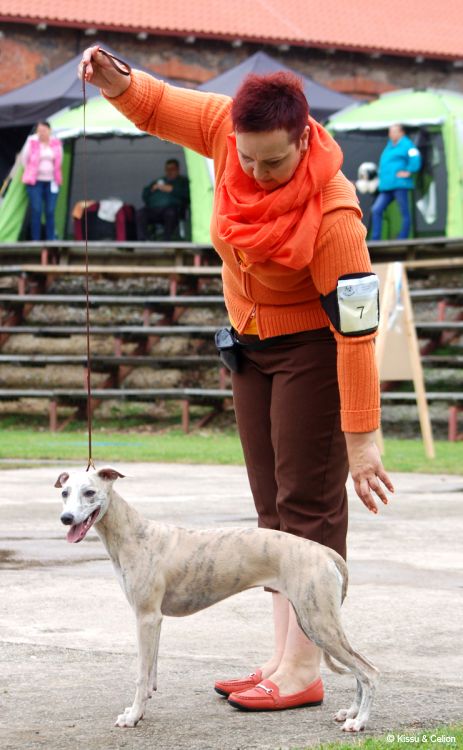 DSC_0197~10.jpg