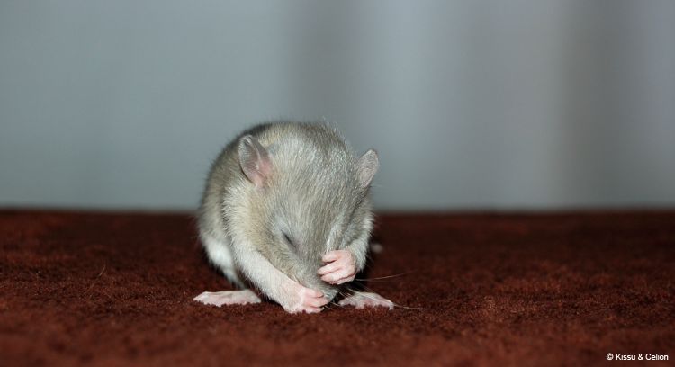 DSC_0208~3.jpg