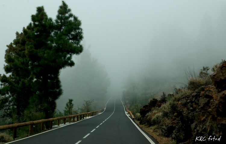 DSC_0218~9.jpg