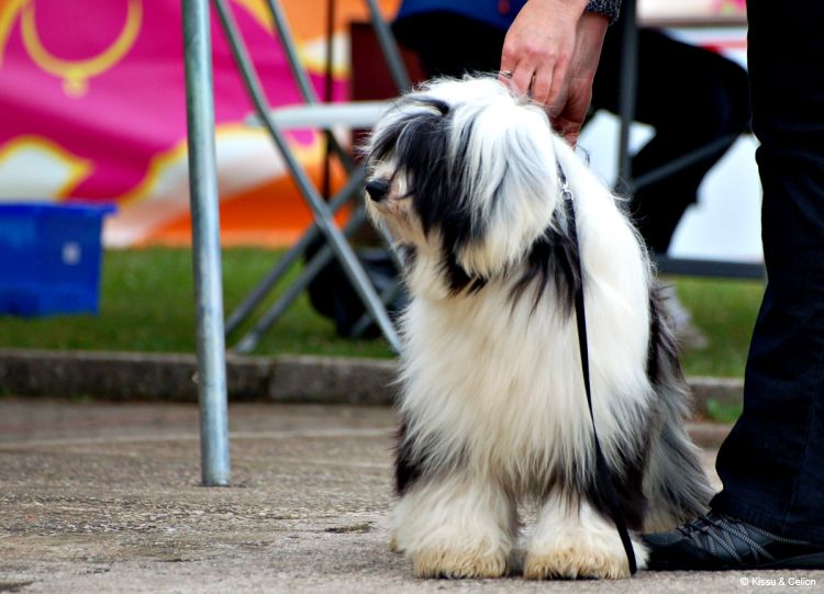 DSC_0219~11.jpg