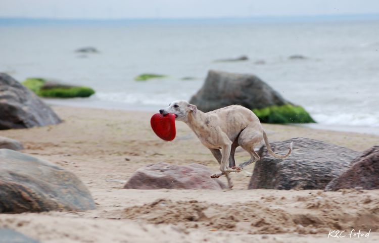 DSC_0219~12.jpg