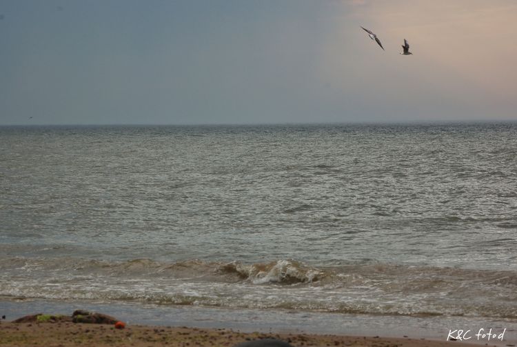 DSC_0235~14.jpg