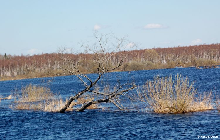 DSC_0241~2.jpg