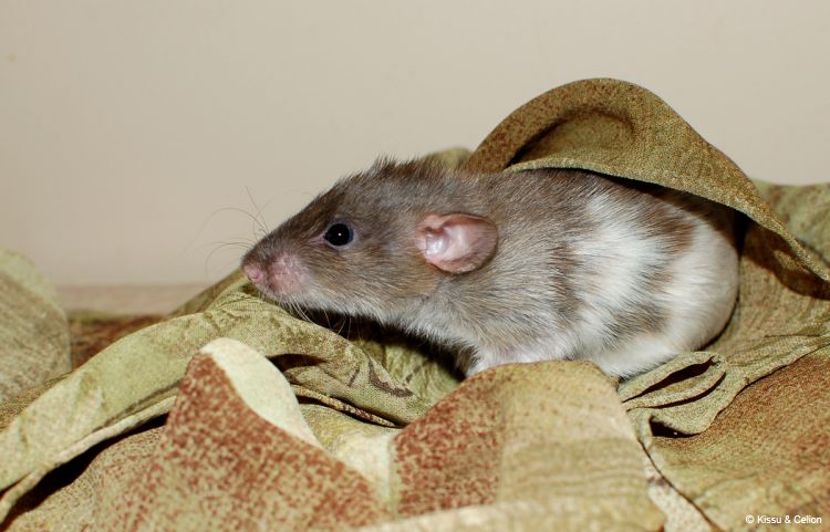 DSC_0248~7.jpg