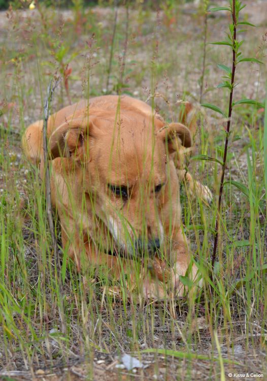 DSC_0257~10.jpg