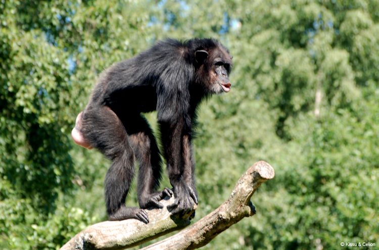 DSC_0261.jpg
