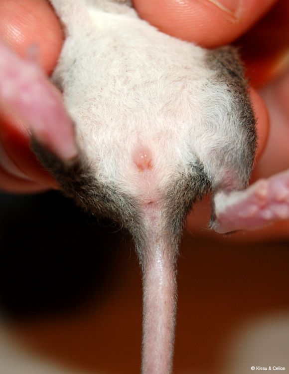 DSC_0280~3.jpg
