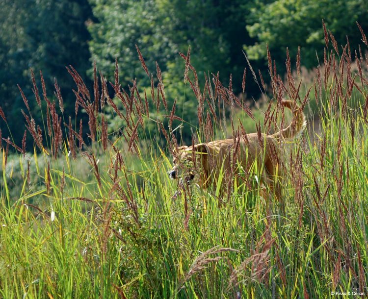DSC_0285~2.jpg