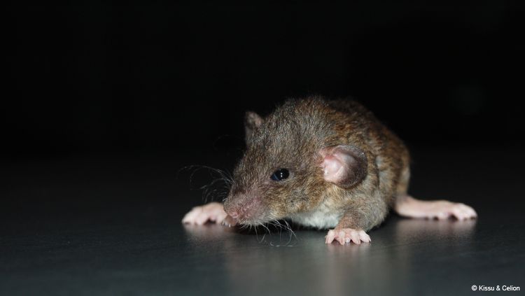 DSC_0294~3.jpg