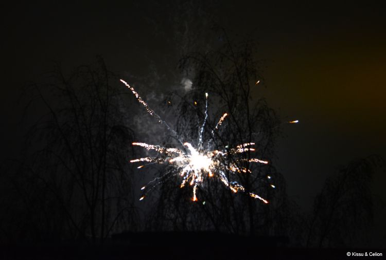 DSC_0311~9.jpg