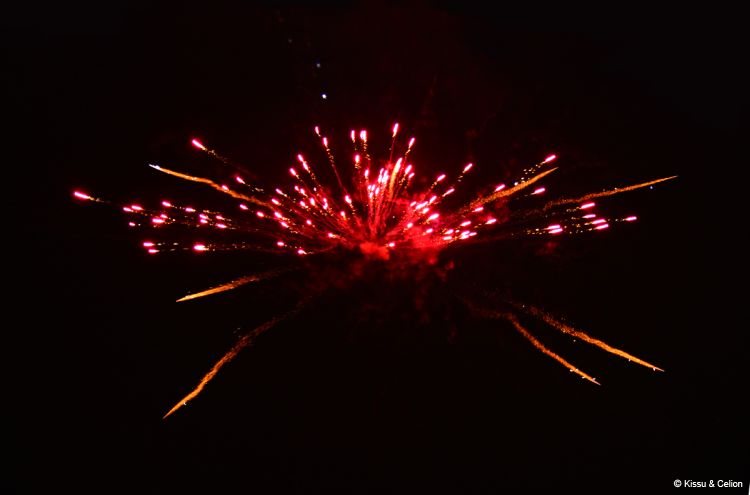 DSC_0320~6.jpg