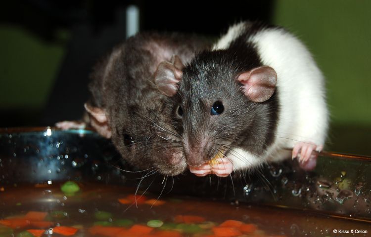 DSC_0326.jpg